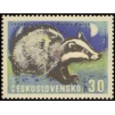 1567 - Jezevec lesní