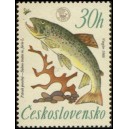 1517 - Pstruh potoční