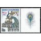 0424 KP -  Brána s pávem