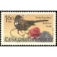 1478 - Kolohřivec horský