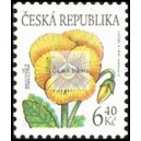 0330 - Krása květů - maceška