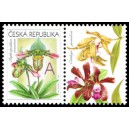 0745 KP - Gratulační motiv - Orchideje A