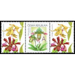 0745 KL+KP1 - Gratulační motiv - Orchideje A