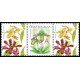 0745 KL+KP1 - Gratulační motiv - Orchideje A