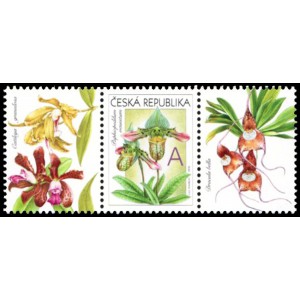 0745 KL+KP2 - Gratulační motiv - Orchideje A