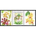 0745 KL+KP3 - Gratulační motiv - Orchideje A