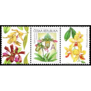 0745 KL+KP3 - Gratulační motiv - Orchideje A