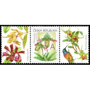 0745 KL+KP4 - Gratulační motiv - Orchideje A
