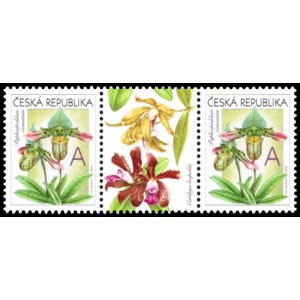 0745 (spojka) - Gratulační motiv - Orchideje A