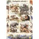 0894-897A (aršík) - Ochrana přírody - Zoologické zahrady I