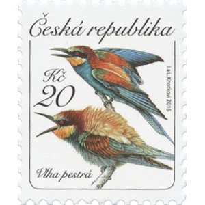 0908 - Vlha pestrá