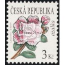 0554 - Krása květů - azalka