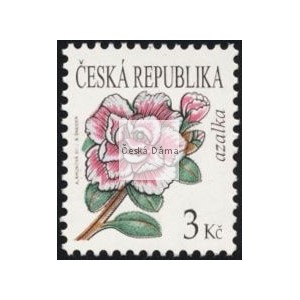 0554 - Krása květů - azalka