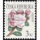 0554 - Krása květů - azalka