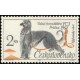 1453 - Afghánský chrt