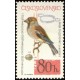 1403 - Dlask tlustozobý evropský