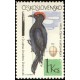 1404 - Datel černý eurosibiřský