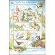 0439-0442A (aršík) - Chráněná fauna a flóra Krkonoš