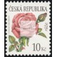 0543 - Krása květů - růže