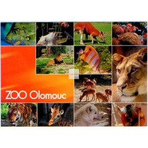 Pohled: Olomouc, ZOO Svatý kopeček