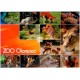 Pohled: Olomouc, ZOO Svatý kopeček