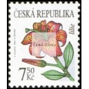 0423 - Krása květů - lilie