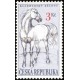 0123 - kladrubský bělouš