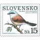 0190 - Ťuhýk obecný