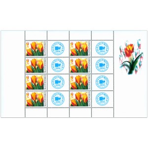 0320 PL - Květ tulipánu