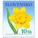0371 - Narcis