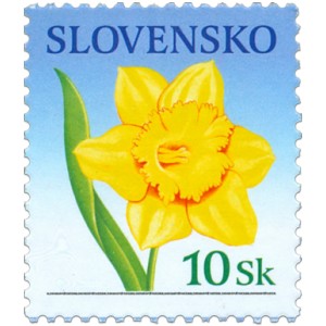 0371 - Blahopřejná známka - narcis