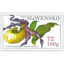 0431 - Střevíčník pantoflíček