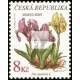 0134-0137 (série) - Kosatec nízký