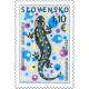 0462 - Mlok skvrnitý