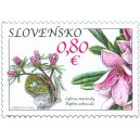 0482 - Lýkovec slovenský