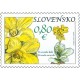 0483 - Prvosenka lysá