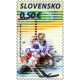 0494 - Hokejový brankář