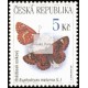 Hnědásek osikový - ptáci a motýli