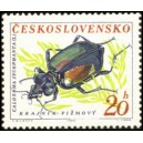 1279 - Krajník pižmový﻿