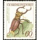 1281 - Roháč obecný﻿