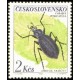 1284 - Střevlík vrásčitý