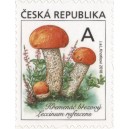 0984 - Křemenáč březový