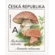 0985 - Muchomůrka růžovka