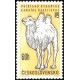 1249 - Velbloud dvouhrbý