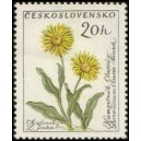 1148 - Kamzičník Clusiův﻿