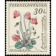1149 - Brambořík evropský﻿