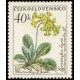 1150 - Prvosenka lysá﻿