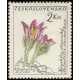 1153 - Koniklec slovenský