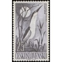 1142 - Kvakoš noční﻿