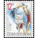 0291 - ME ve volejbalu mužů
